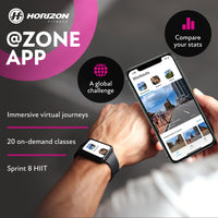 Horizon 5.0IC Indoor Cycle
